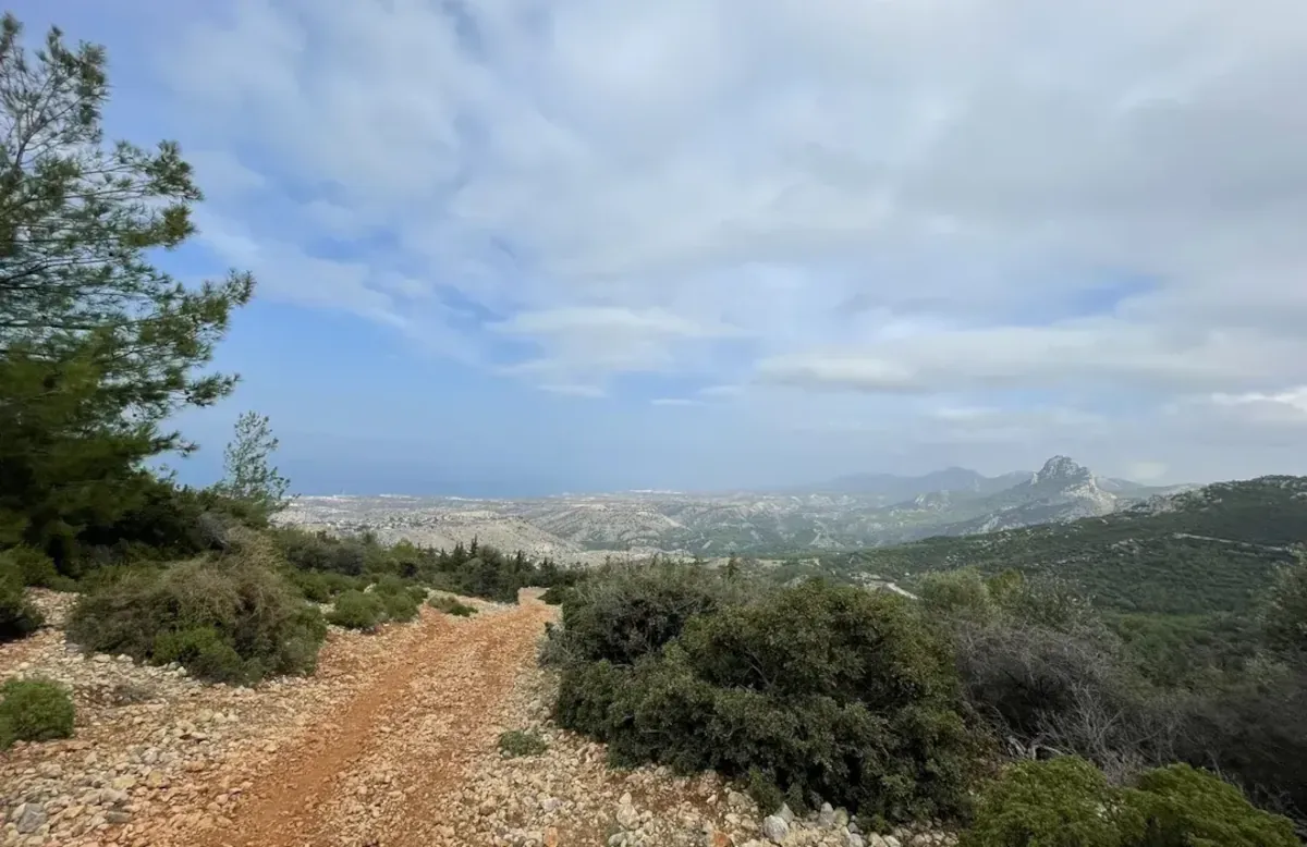 Arapköy (Klepini) Taksi | 7/24 VIP Hizmet